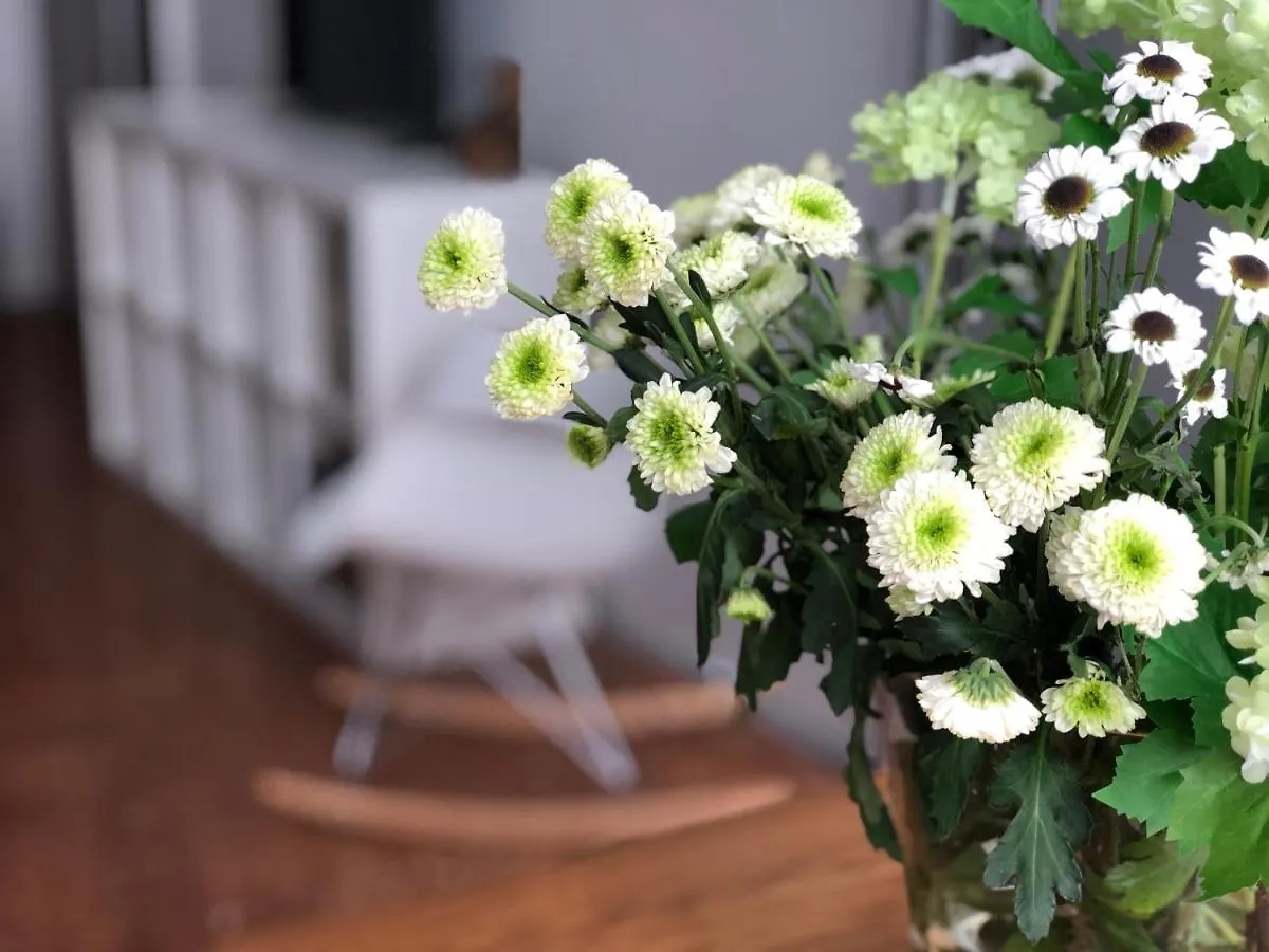 Apartamento Ca' Dei Armeni - San Marco Square Venecia Italia